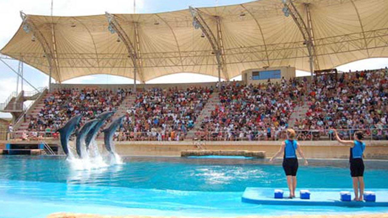 Ushaka Marine dolphine show
