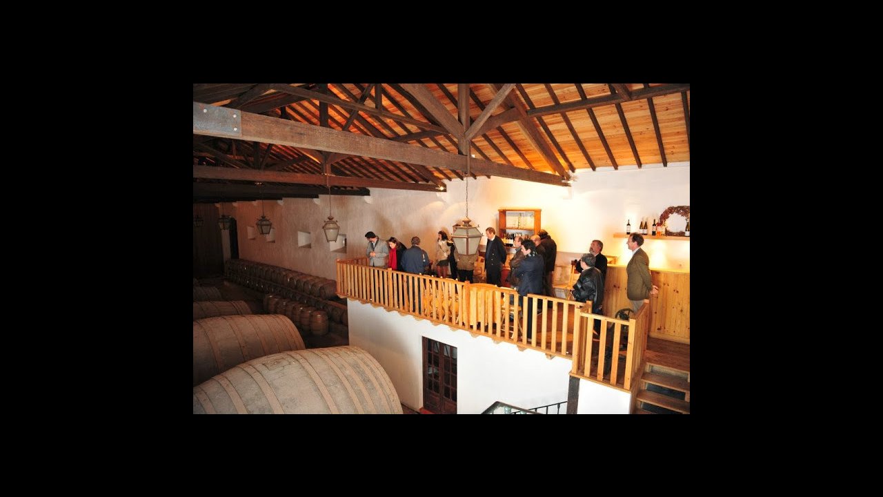 Wine cellars