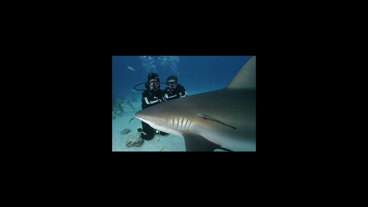 Scuba diving at Stuart's Cove Nassau, Bahamas.