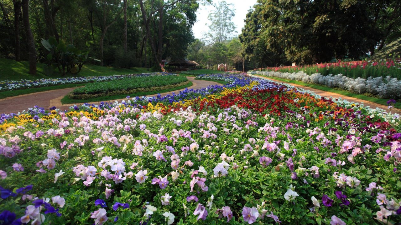 Kandawgyi Park, Yangon.