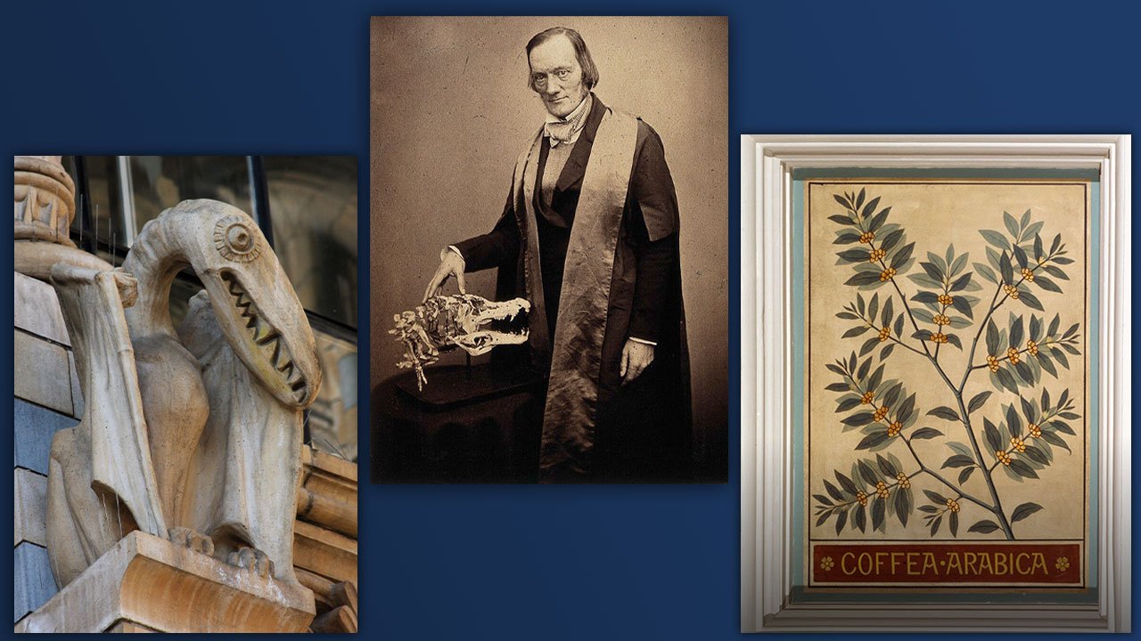 Erfahre mehr über die Hintergründe des Natural History Museum