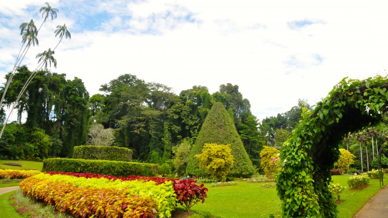 Peradeniya Botanical Garden