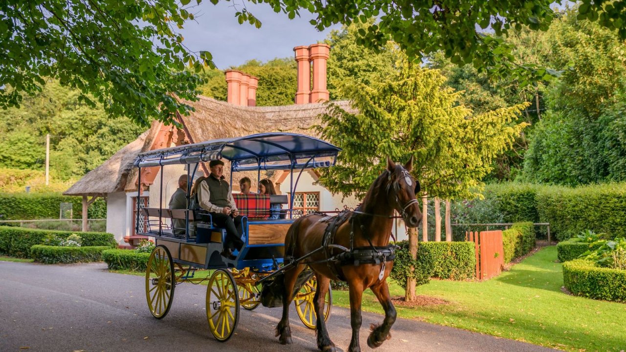 Killarney Jaunt & Afternoon Tea