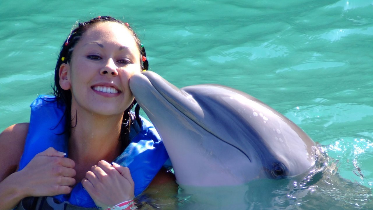 A Kiss from the Dolphin