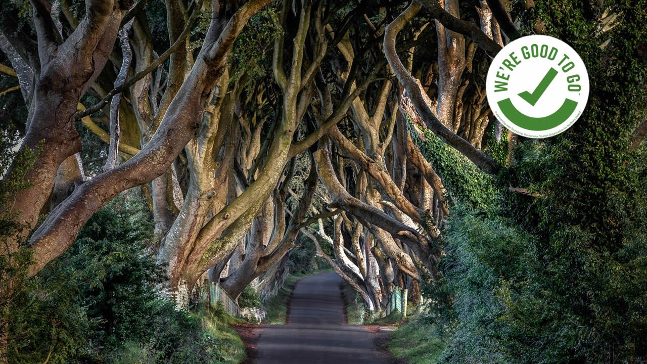 The Dark Hedges