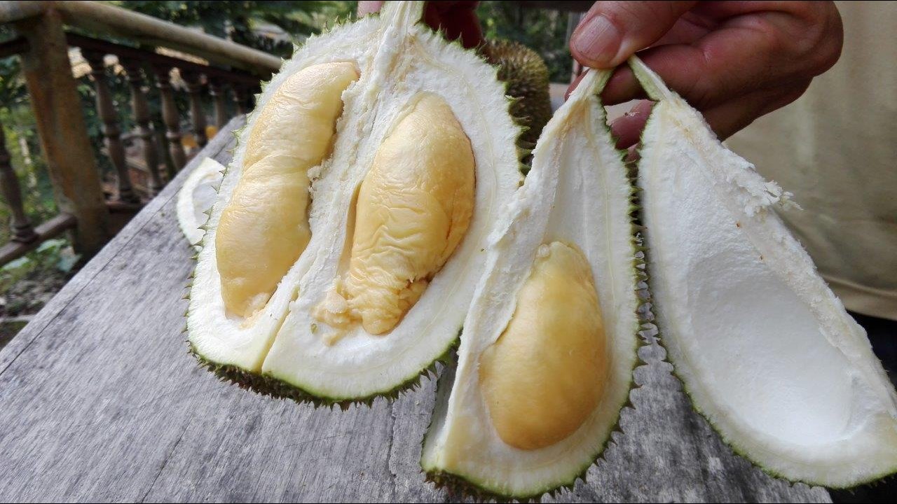 Ang Bak Kia durian from Green Acres Penang