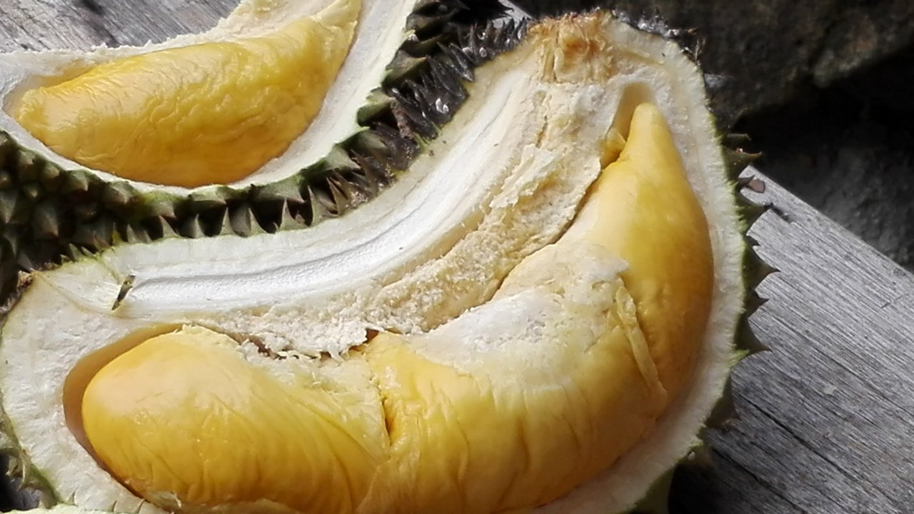 Durian from Green Acres Penang