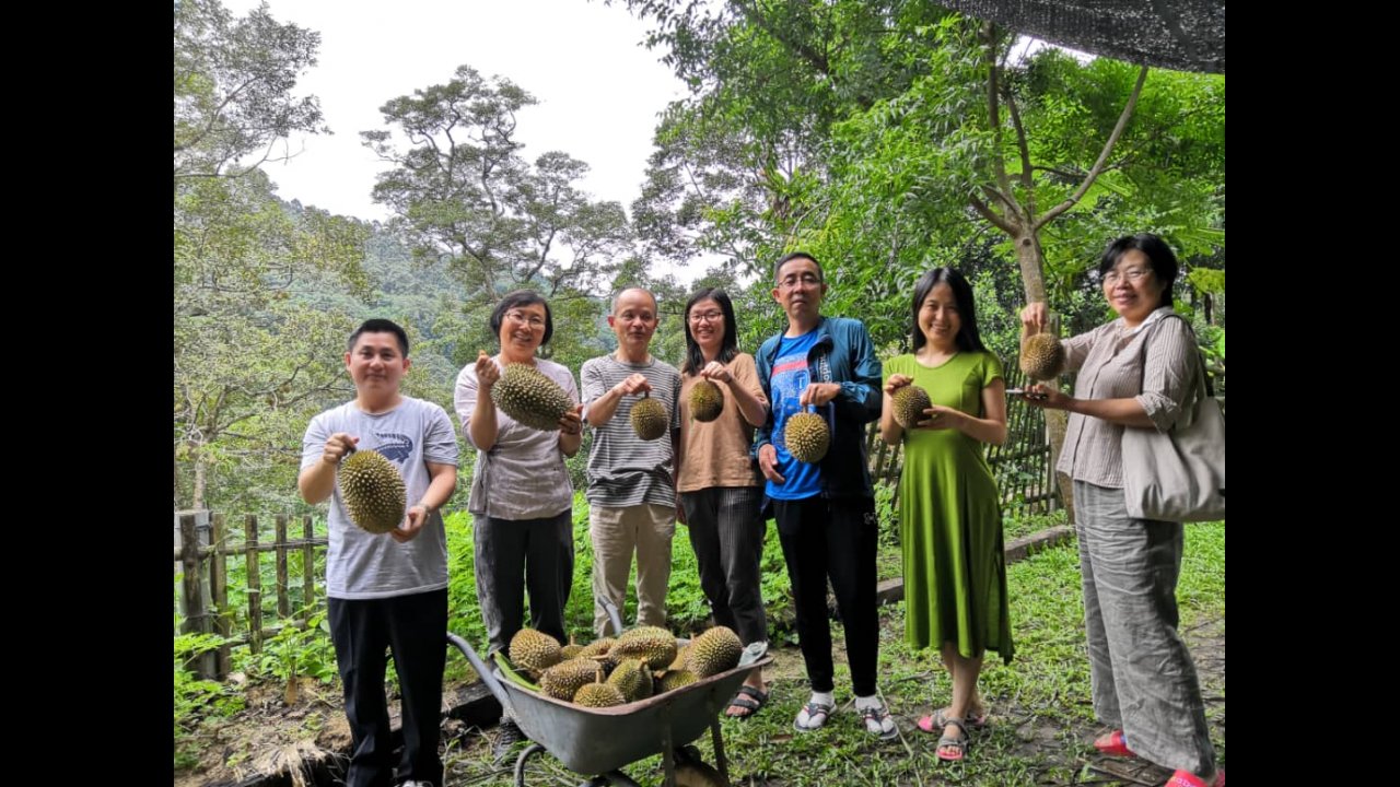 Types of durians at Green Acres Penang