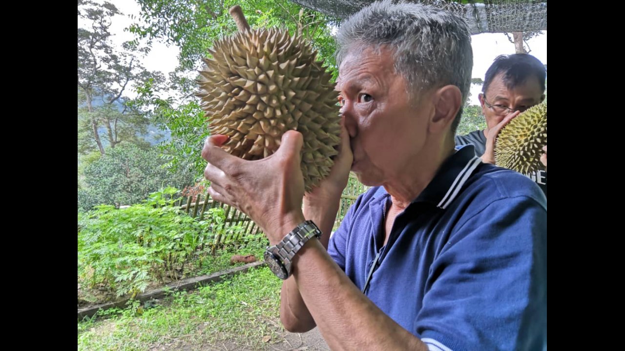 The smells of a durian at Green Acres Penang