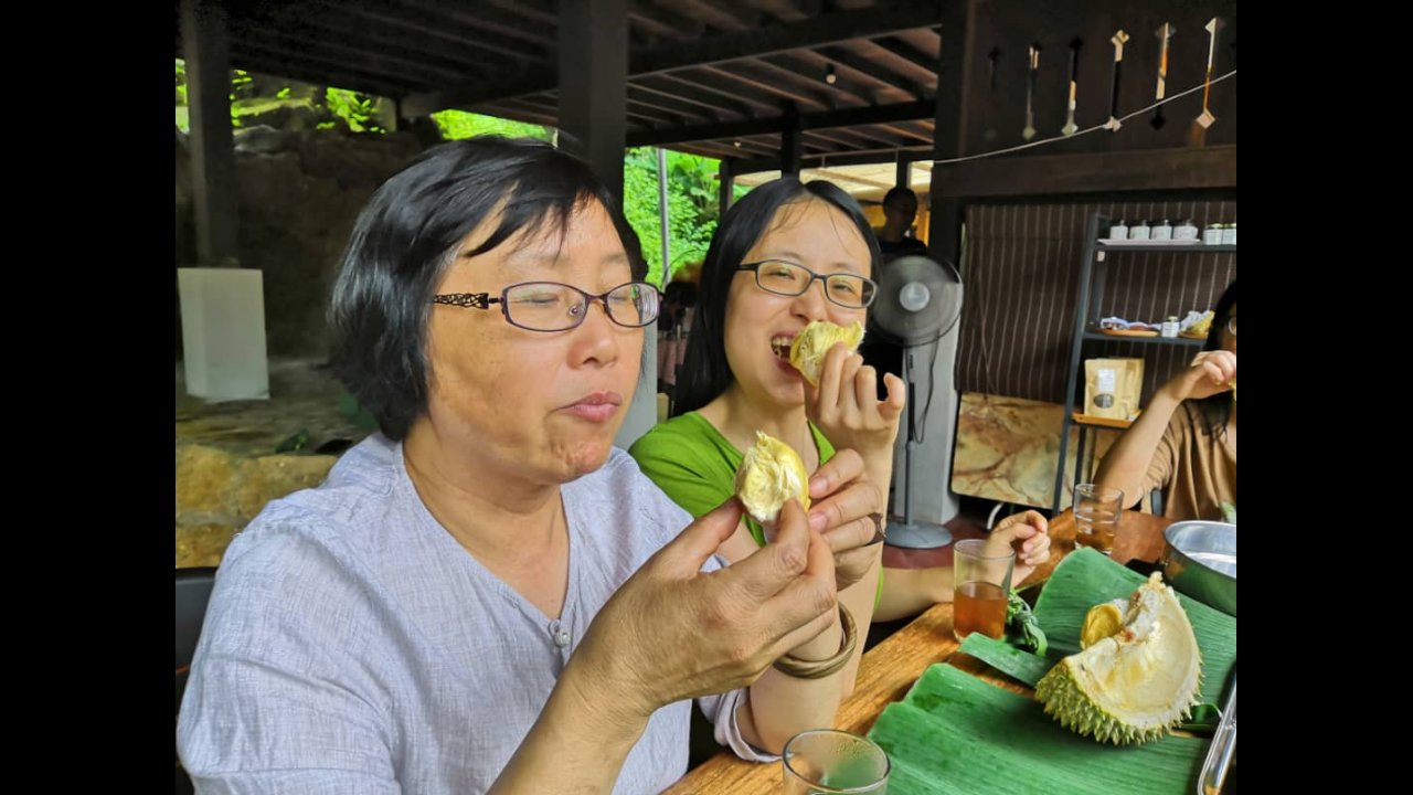 A Feast for the Senses