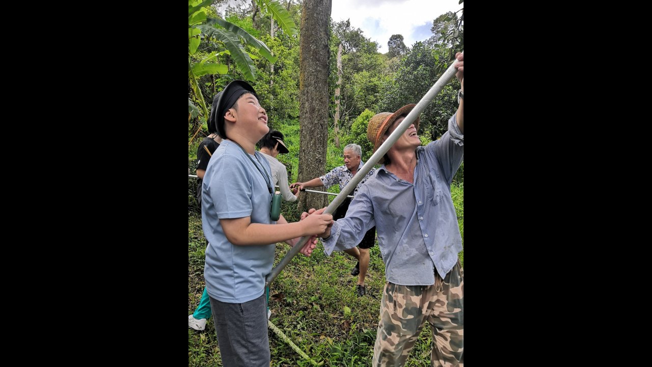 Experience harvesting