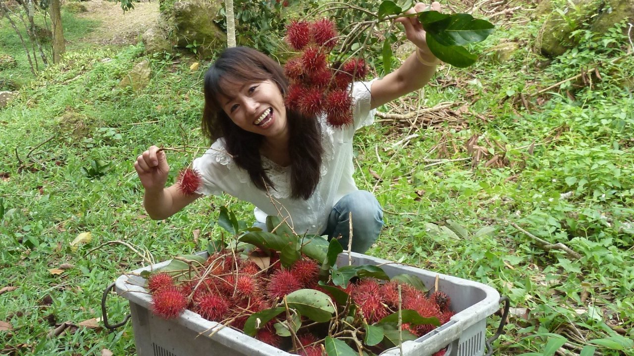 Rambutan galore at Green Acres Penang