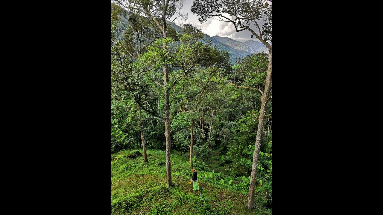 Green Acres Orchard & Ecolodge