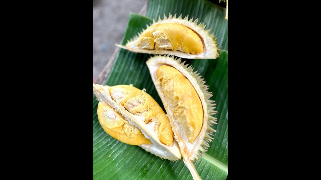 No chemicals farming