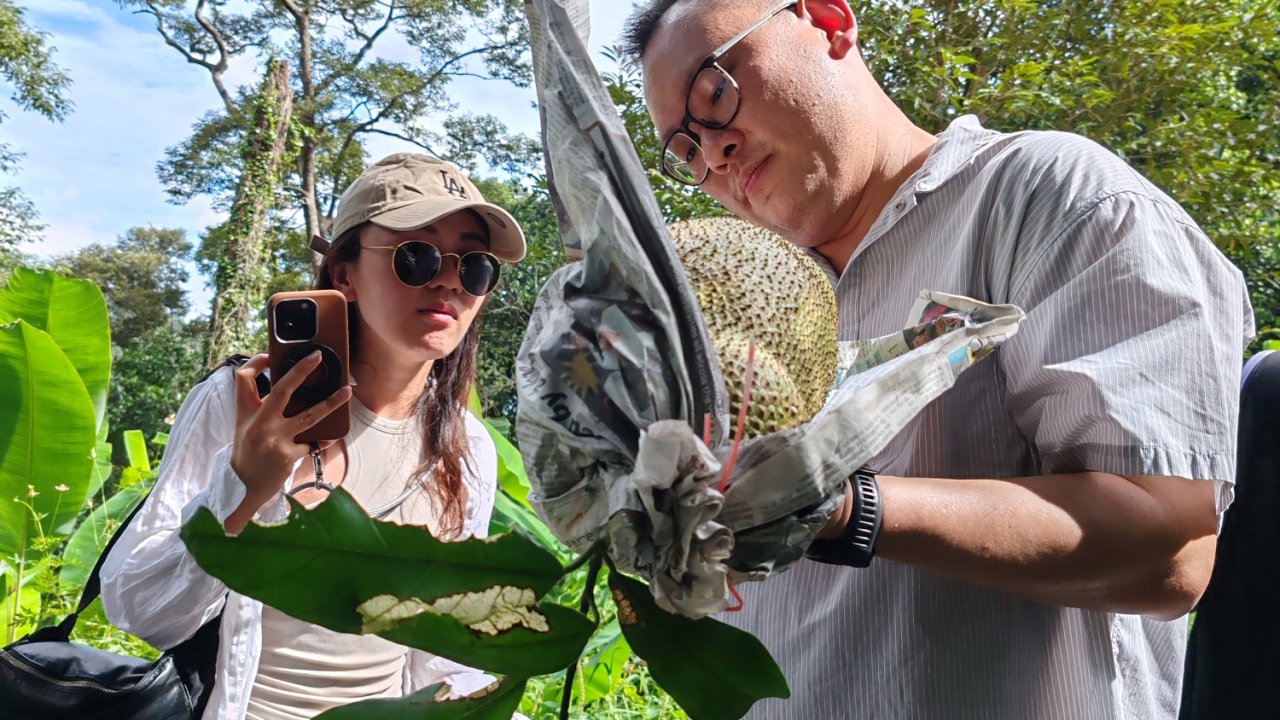 Tropical fruit experience