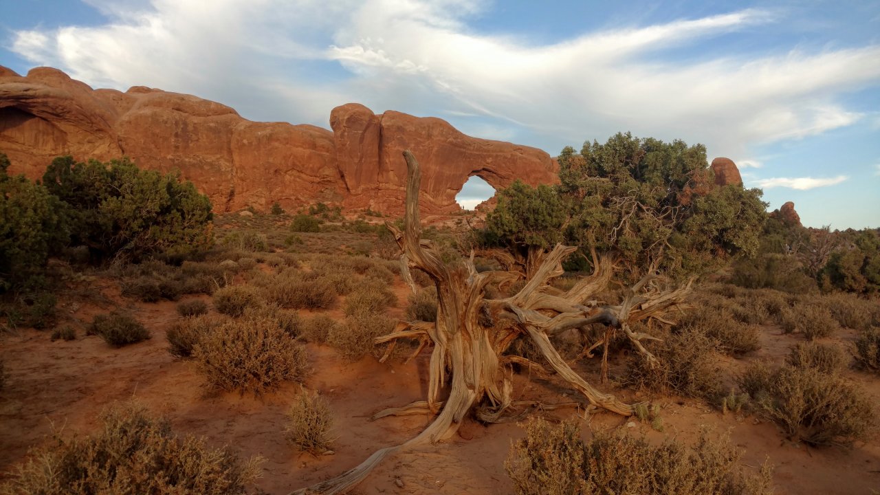 Arches National Park
