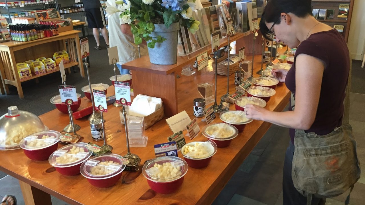 Cabot cheese tasting