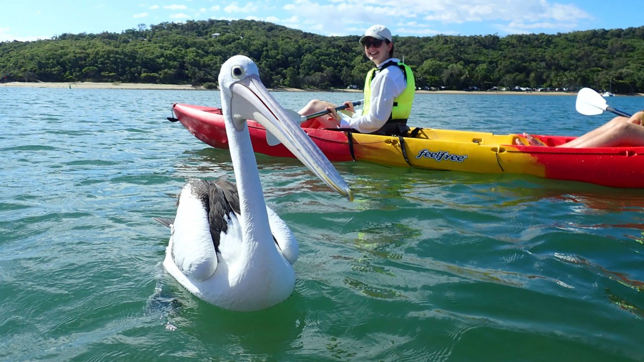 Nature Tour