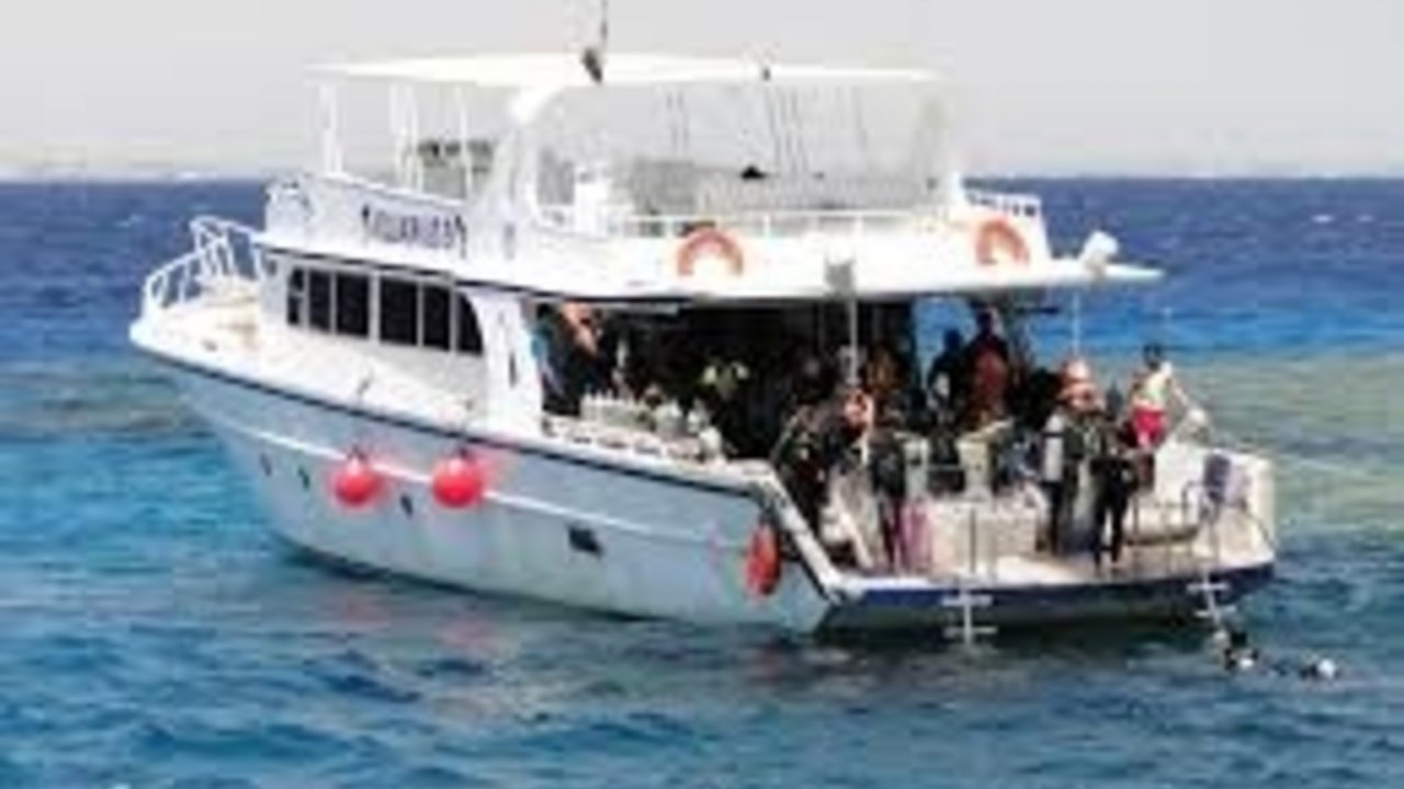 sharm with ease diving