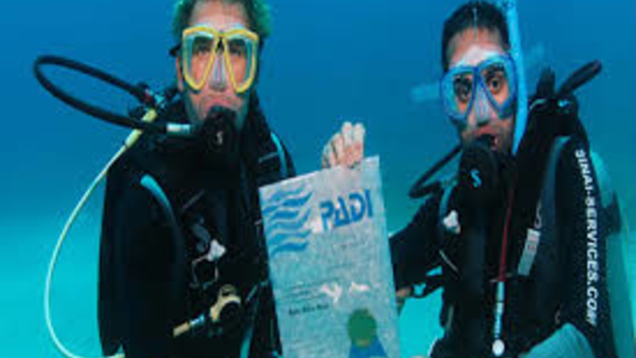 sharm with ease PADI Elearning