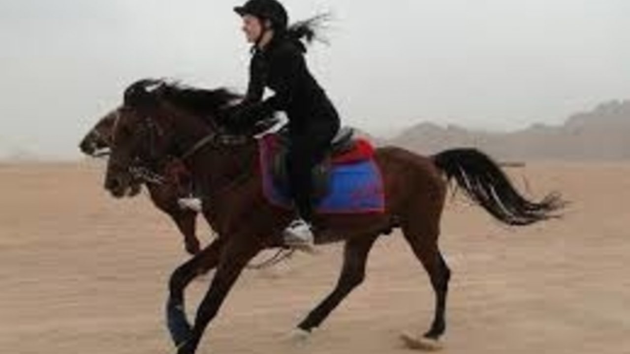 sharm with ease horse ridding