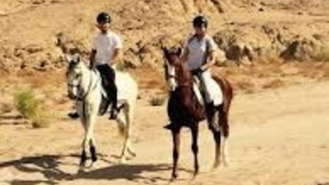 sharm with ease horse ridding