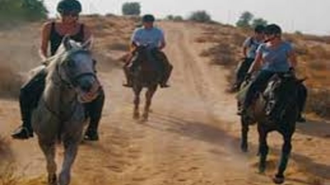 sharm with ease horse ridding