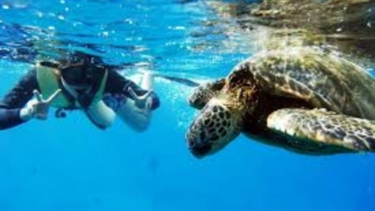 Sharm with ease Ras Mohammed