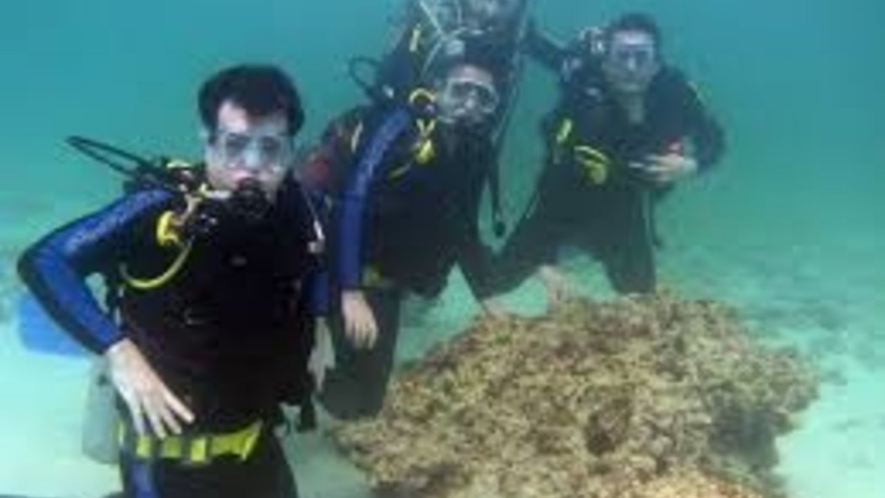 sharm with ease diving