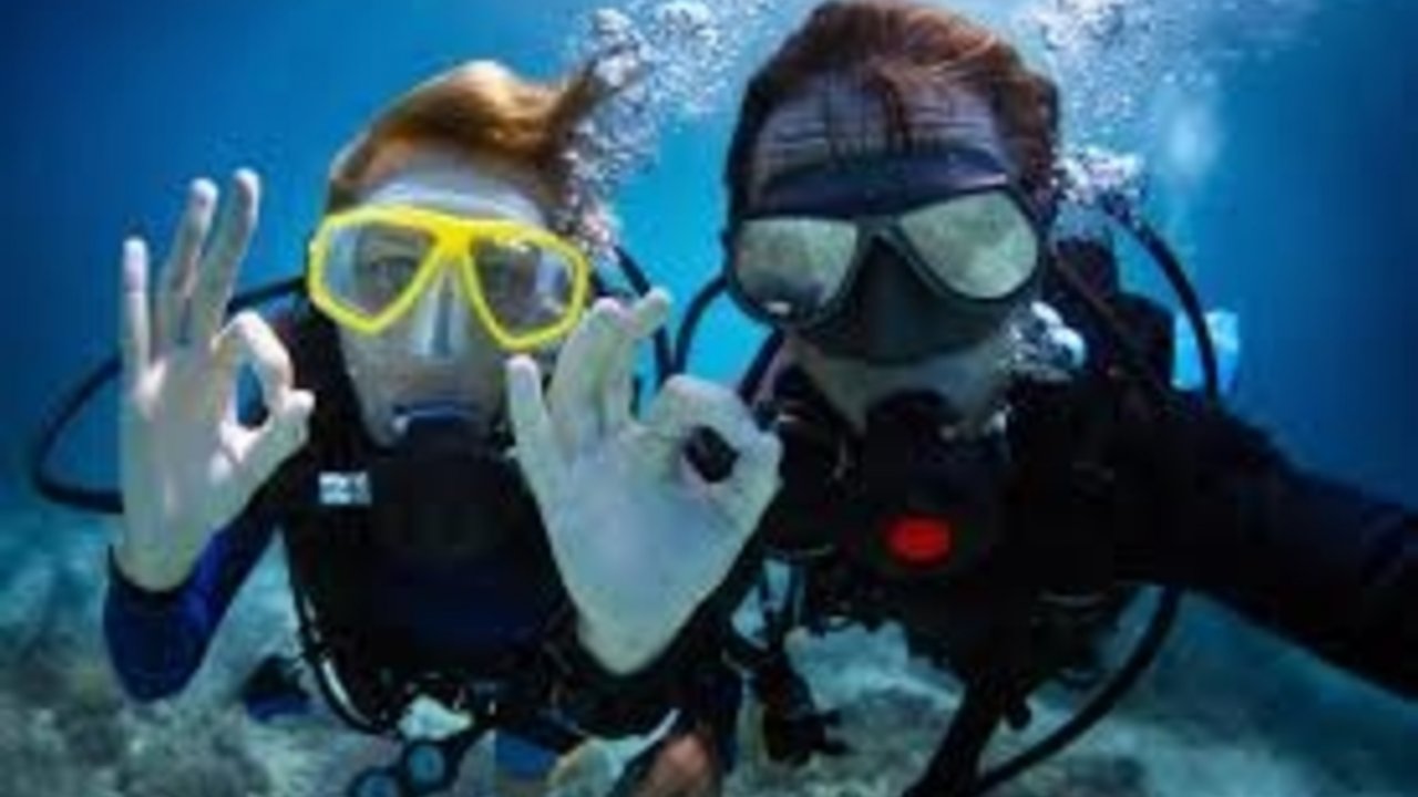 sharm with ease diving