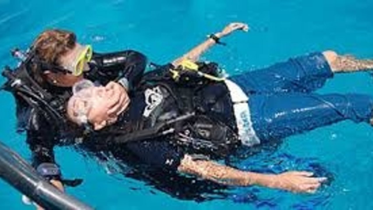 sharm with ease diving