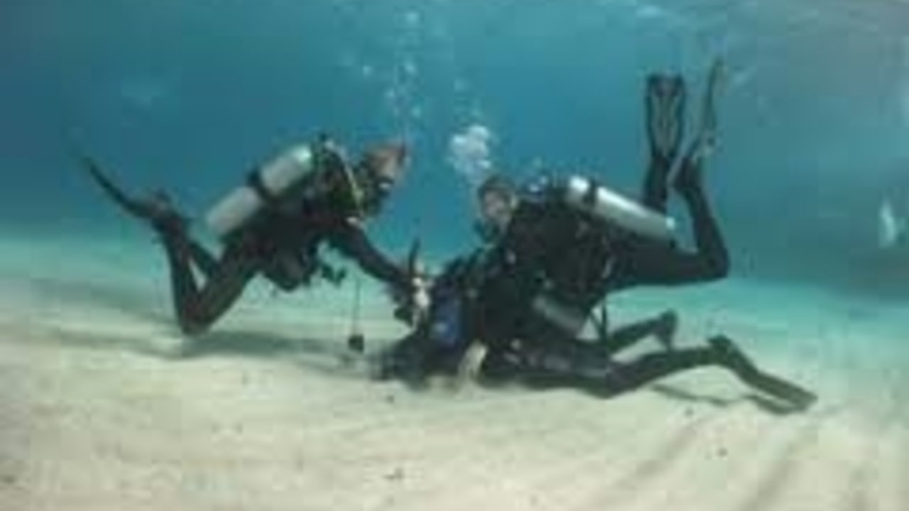 sharm with ease diving