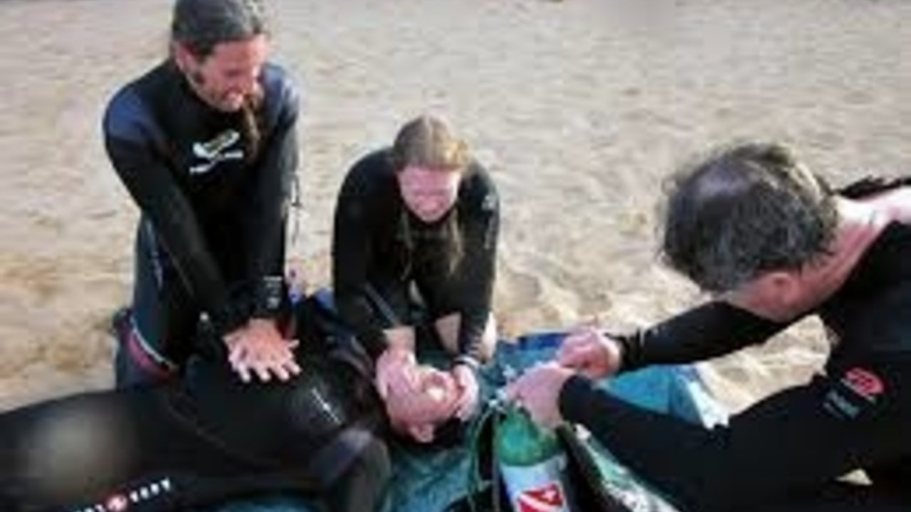 sharm with ease diving