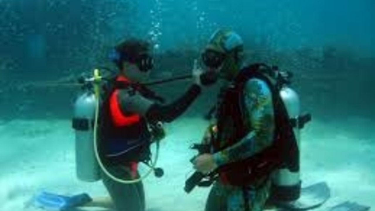 sharm with ease diving