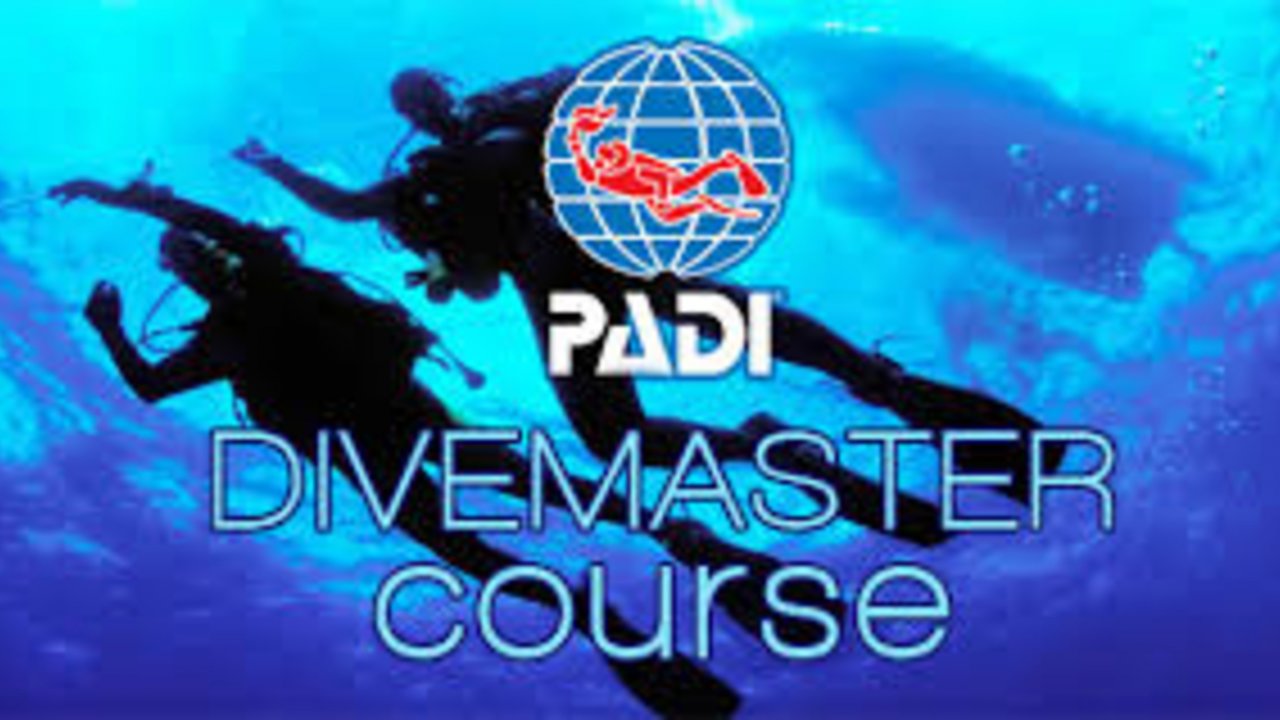 SHARM WITH EASE DIVING