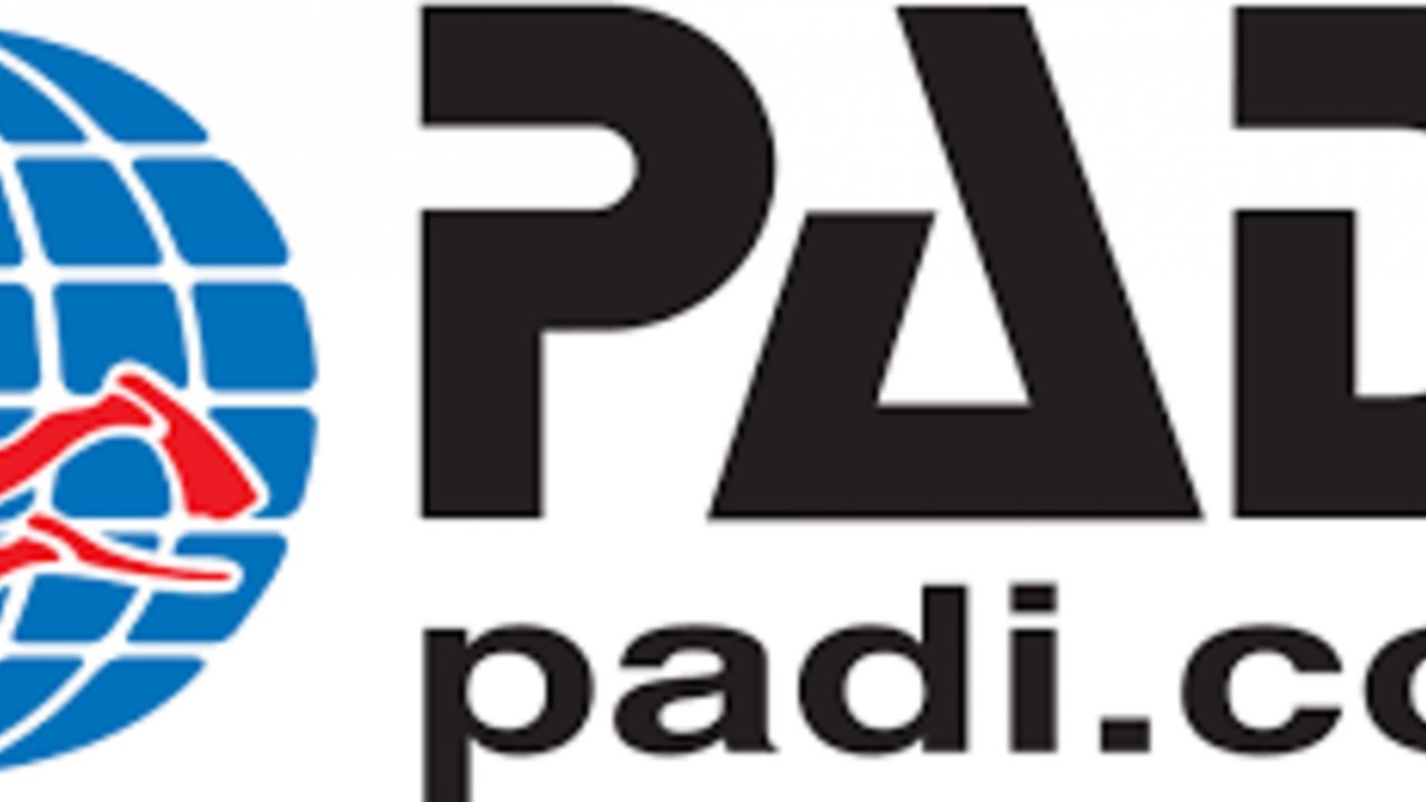 SHARM WITH EASE DIVING