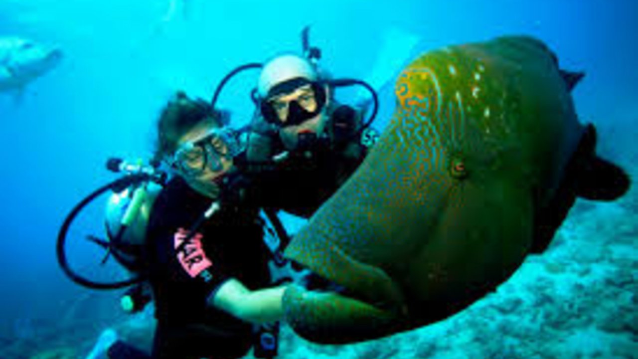 SHARM WITH EASE DIVING