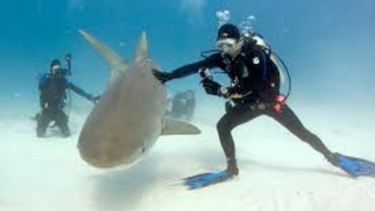 SHARM WITH EASE DIVING