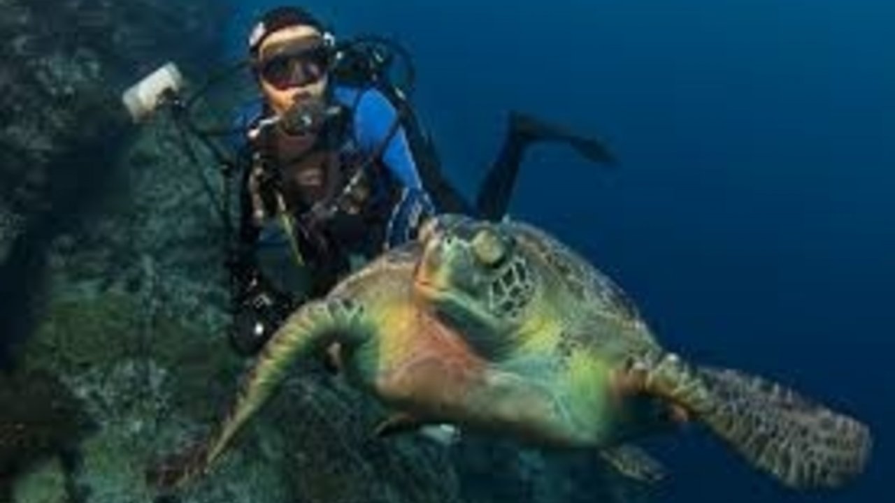SHARM WITH EASE DIVING