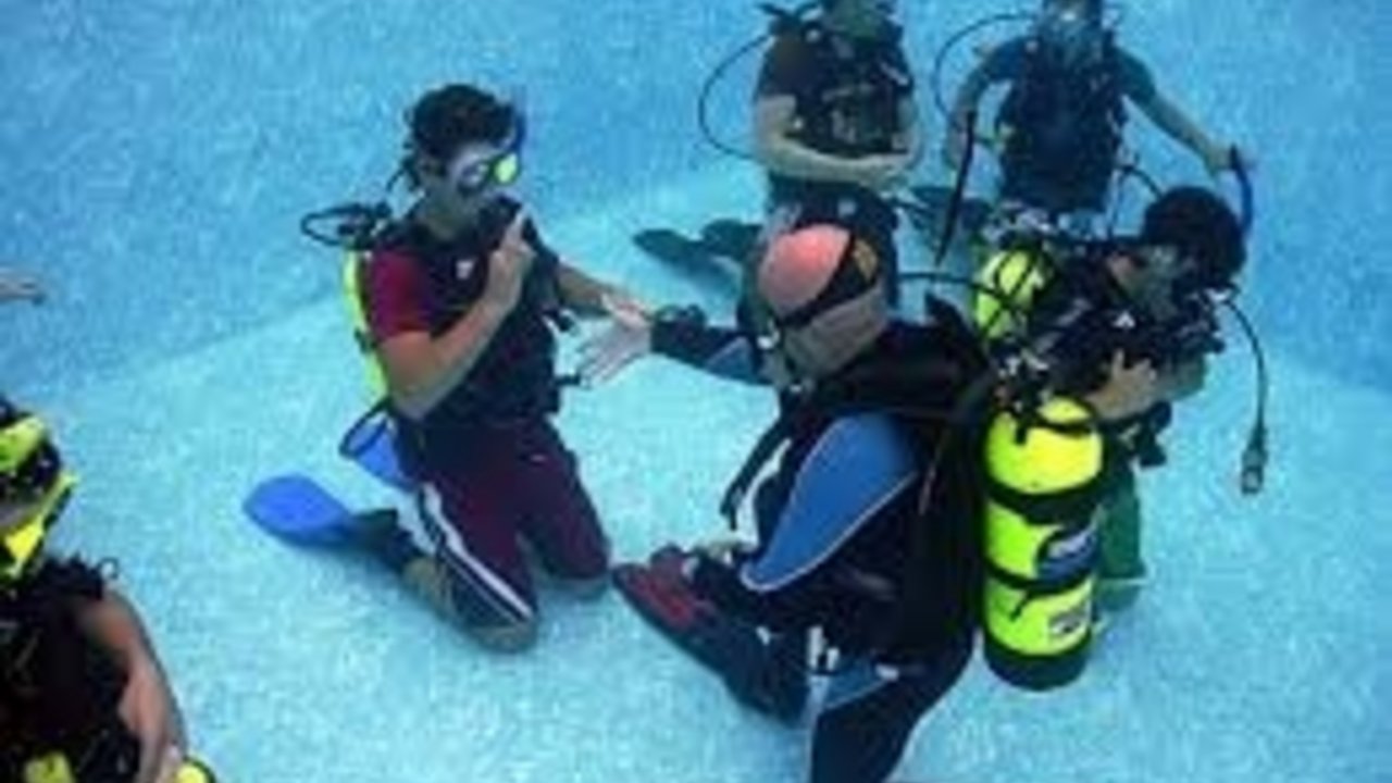 SHARM WITH EASE DIVING