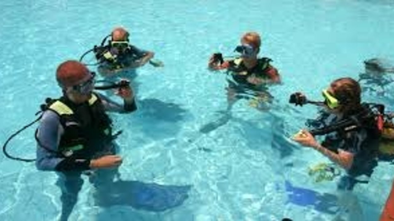 SHARM WITH EASE DIVING