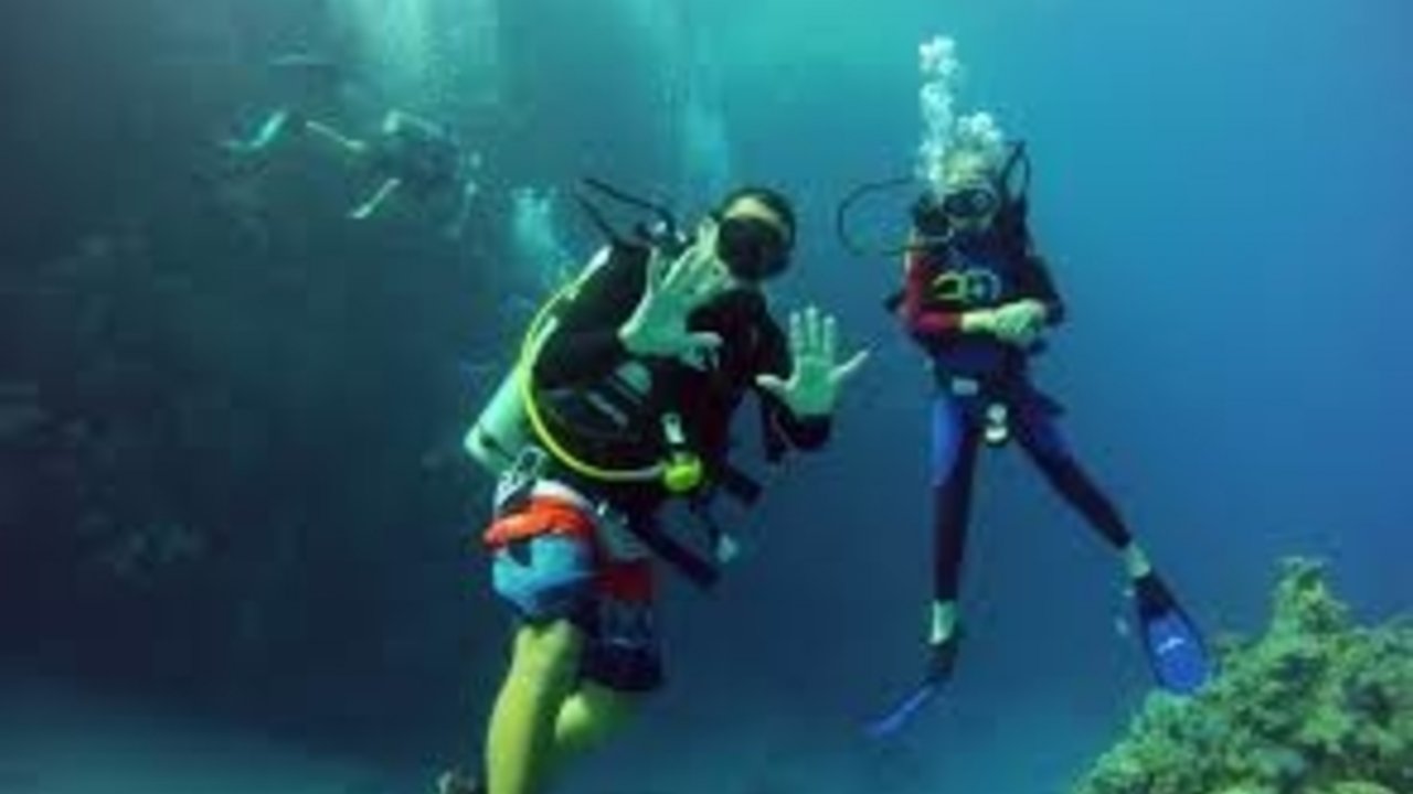 SHARM WITH EASE DIVING
