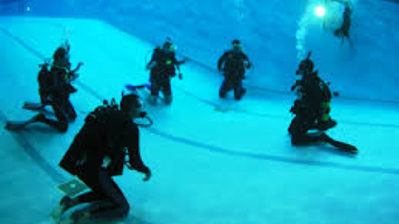 SHARM WITH EASE DIVING