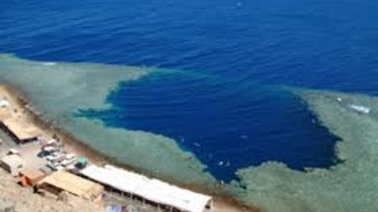 SHARM WITH EASE ABU GALUM