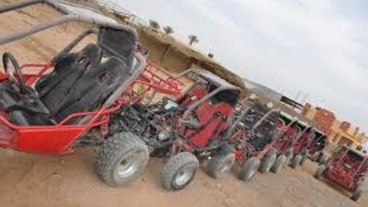 SHARM WITH EASE BUGGY