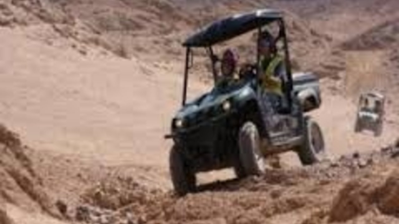 SHARM WITH EASE BUGGY