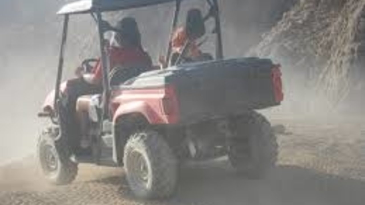 SHARM WITH EASE BUGGY