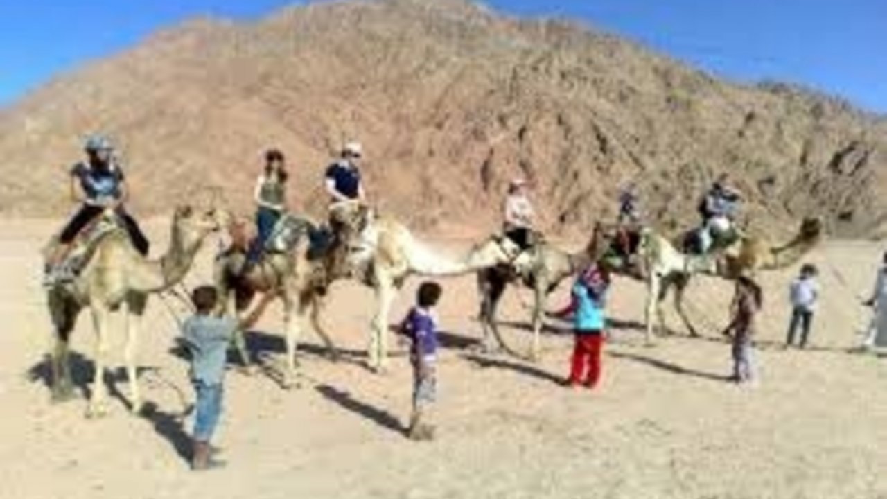 SHARM WITH EASE CAMEL RIDE