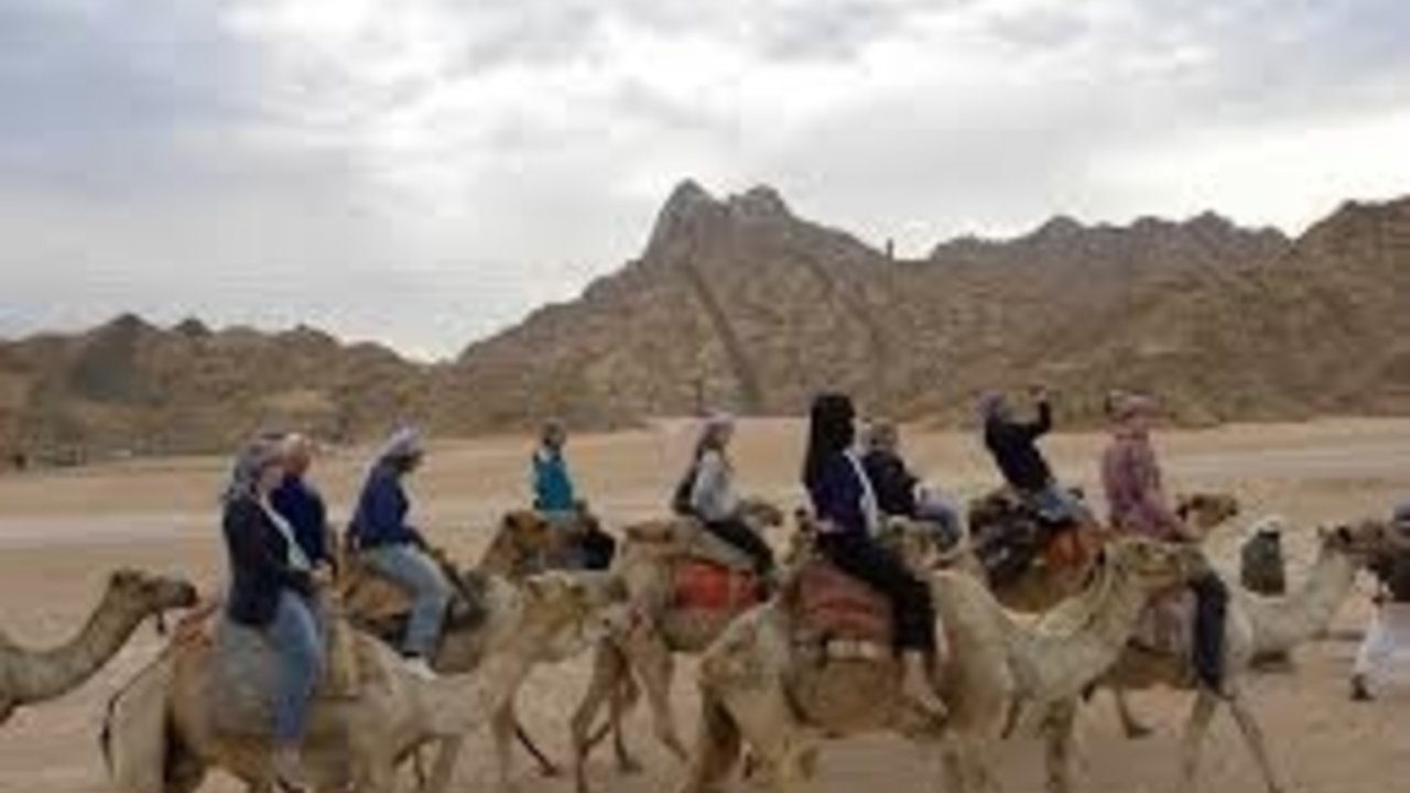 SHARM WITH EASE CAMEL+DINNER