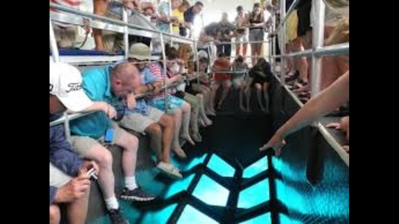 SHARM WITH EASE GLASS BOAT